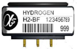 H2-BF Hydrogen Sensor
